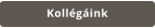 Kollégáink