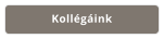 Kollégáink